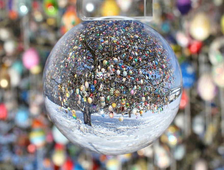 Пасхальное дерево, 2 недели и 10000 крашеных яиц на украшение дерева, Christa and Volker Kraft 