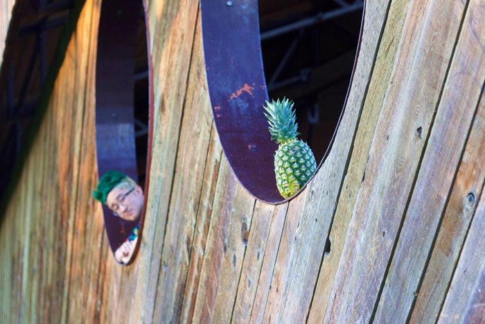 стрижка ананас, парень проиграл пари и подстригся под ананас, Гензель Цю, Hansel Qiu 