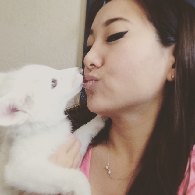 Rylai fox, лиса Rylai, белая мраморная лиса