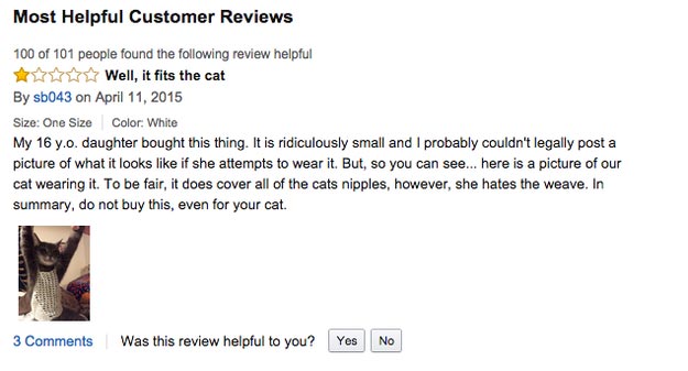 кошка в топе, кошка в лифчике, женщина сфотографировала кошек в топе, маленький размер топа кошка