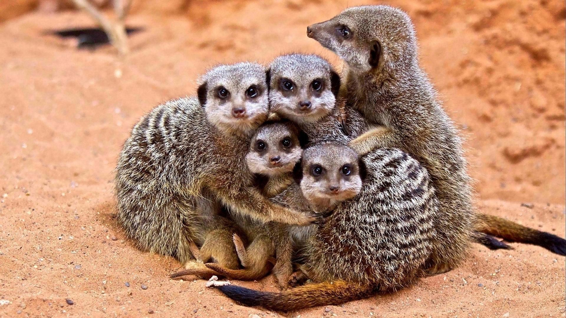 как не заболеть осенью, советы чтобы не заболеть