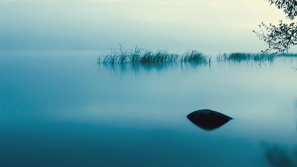 ночная жизнь, фотоконкурс National Geographic