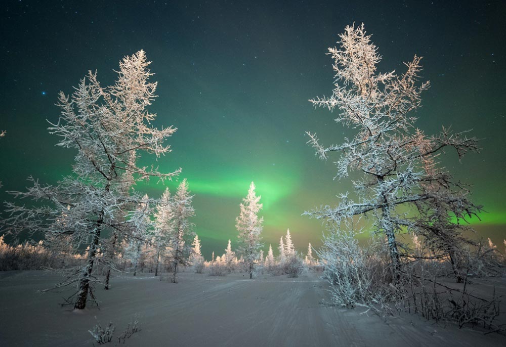 ночная жизнь, фотоконкурс National Geographic