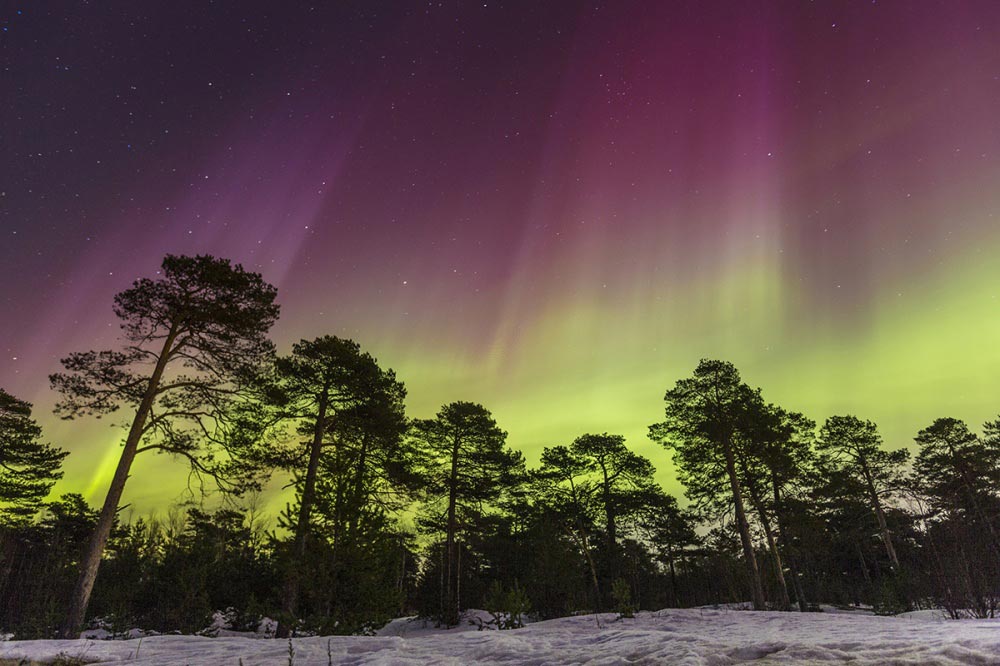 ночная жизнь, фотоконкурс National Geographic
