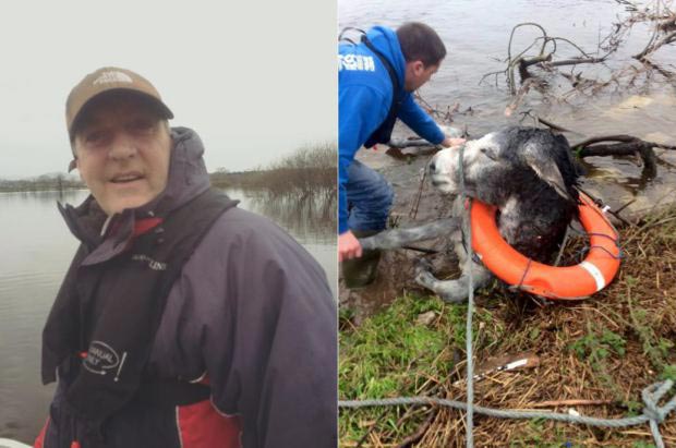 Улыбнулся и подмигнул: радостная улыбка осла после спасения от наводнения осел улыбнулся, улыбка осла после спасения, улыбающийся осёл