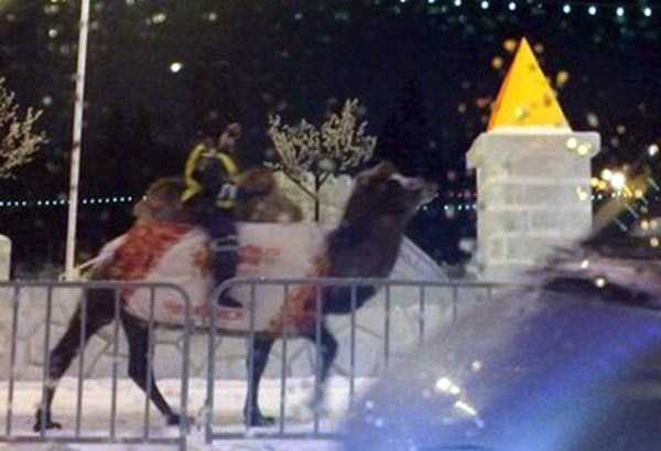 это россия детка, умом россию не понять, тем временем в России 