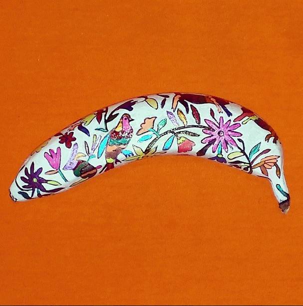 рисунки на бананах, бананы как произведение искусства, Элайза Рош, Elisa Roche