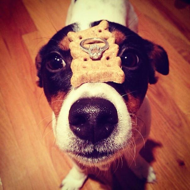 howheasked/, ты выйдешь за меня, предложение руки и сердца, необычное предложение