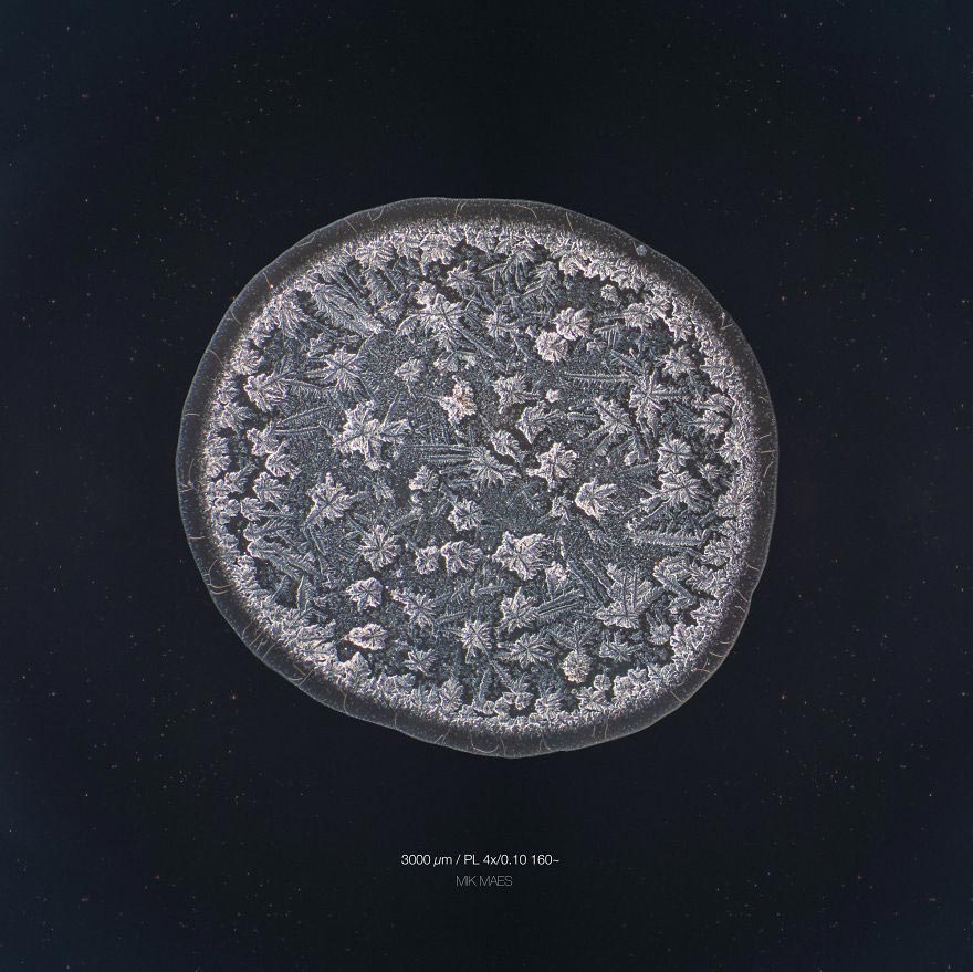 Скрытая красота: оказывается, наши слёзы имеют разную структуру, и фотограф это доказал Морис Миккес, Maurice Mikkers, Imaginarium Of Tears, слёзы под микроскопом