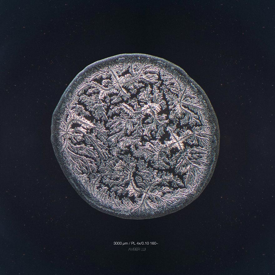 Скрытая красота: оказывается, наши слёзы имеют разную структуру, и фотограф это доказал Морис Миккес, Maurice Mikkers, Imaginarium Of Tears, слёзы под микроскопом