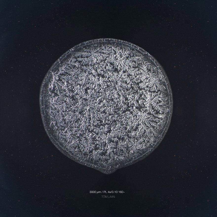 Скрытая красота: оказывается, наши слёзы имеют разную структуру, и фотограф это доказал Морис Миккес, Maurice Mikkers, Imaginarium Of Tears, слёзы под микроскопом