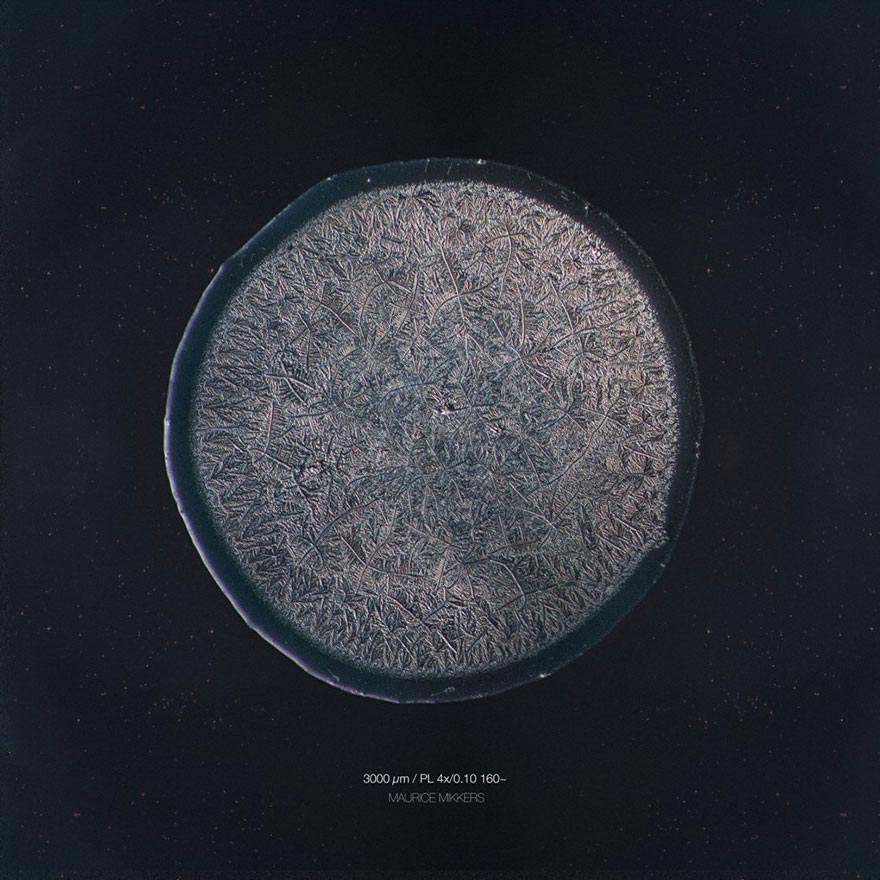 Скрытая красота: оказывается, наши слёзы имеют разную структуру, и фотограф это доказал Морис Миккес, Maurice Mikkers, Imaginarium Of Tears, слёзы под микроскопом