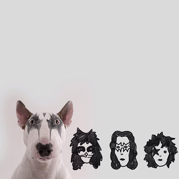 бультерьер, Рафаэль Мантессо, Rafael Mantesso, бультерьер и стены