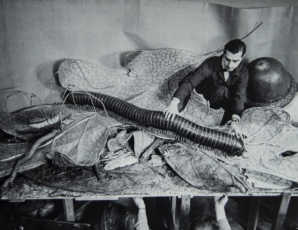 Прошлое рядом: выдающиеся кадры, которые откроют вам окно в историю Исторические кадры, редкие архивные фотографии, исторические события, редкие фото звёзд