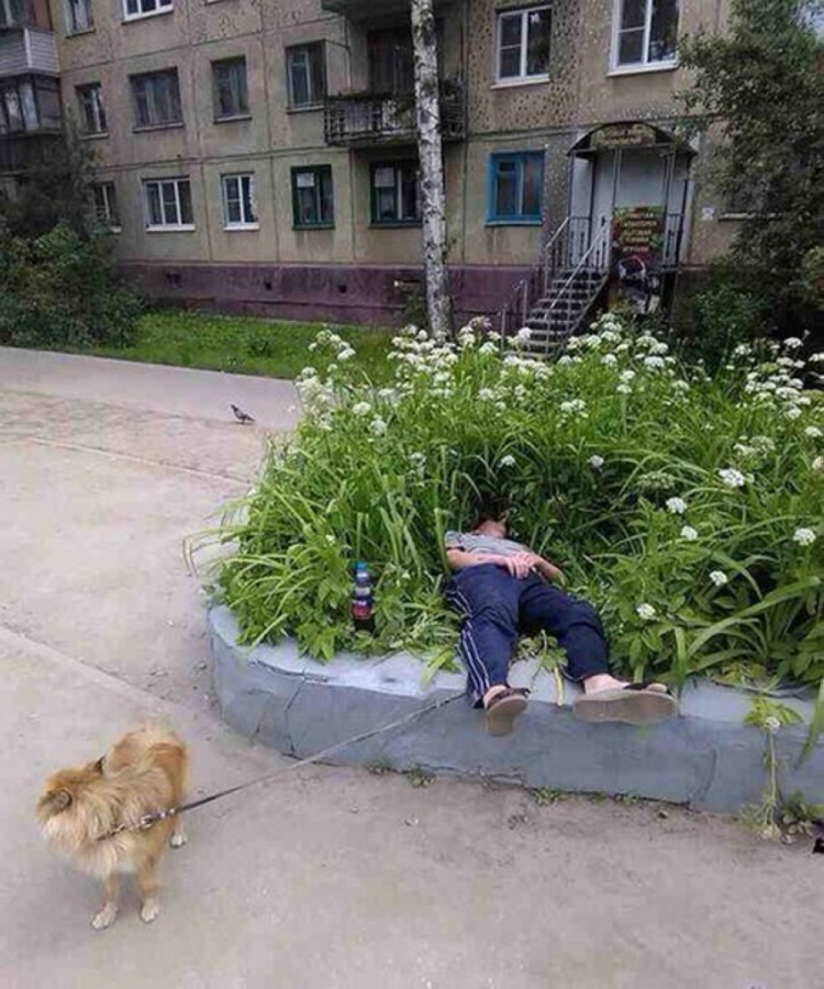 эту страну не победить, умом Россию не понять, только в  России, это Россия детка