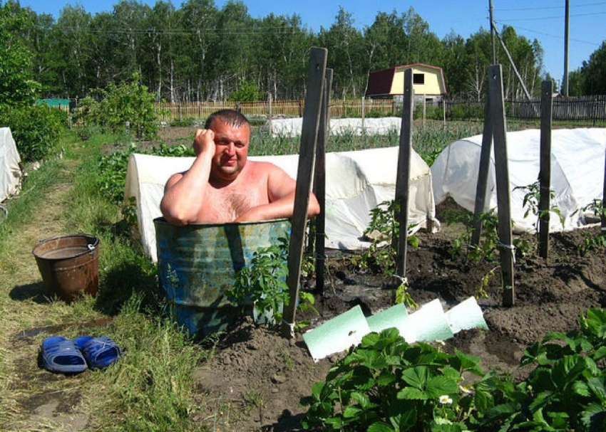 эту страну не победить, умом Россию не понять, только в  России, это Россия детка