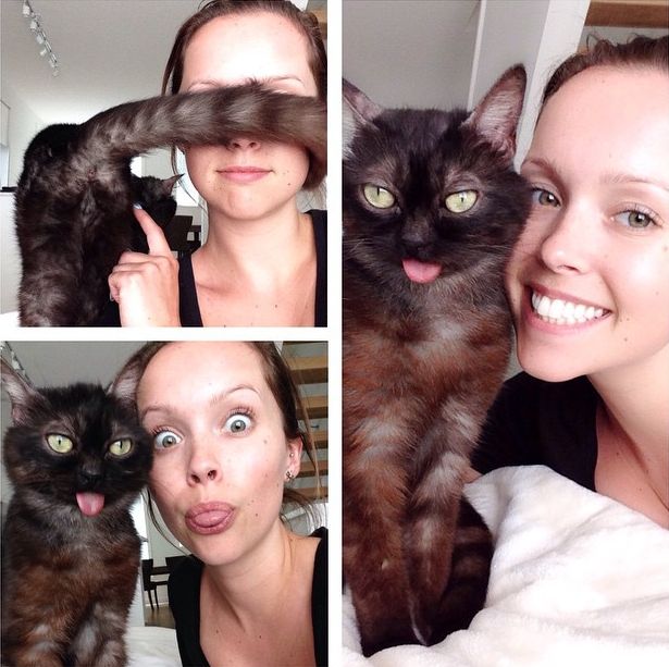 кот с высунутым языком, Мистер Магу