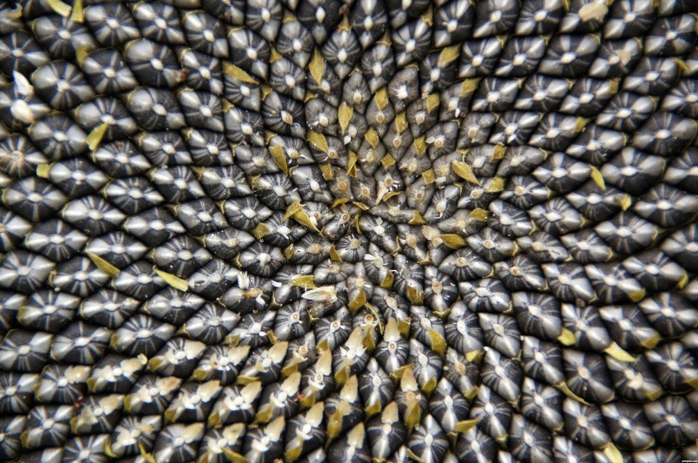 продукты для сияющей кожи, продукты для здоровья кожи