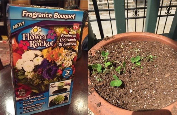 жизнь и наши ожидания, жизнь не соответствует нашим ожиданиям, ожидание против реальности,