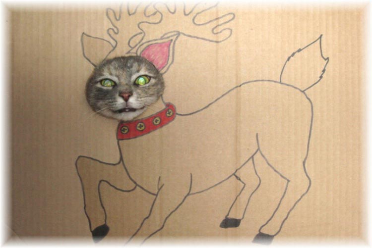 кошки ненавидят рождество, кошки ненавидят Новый год