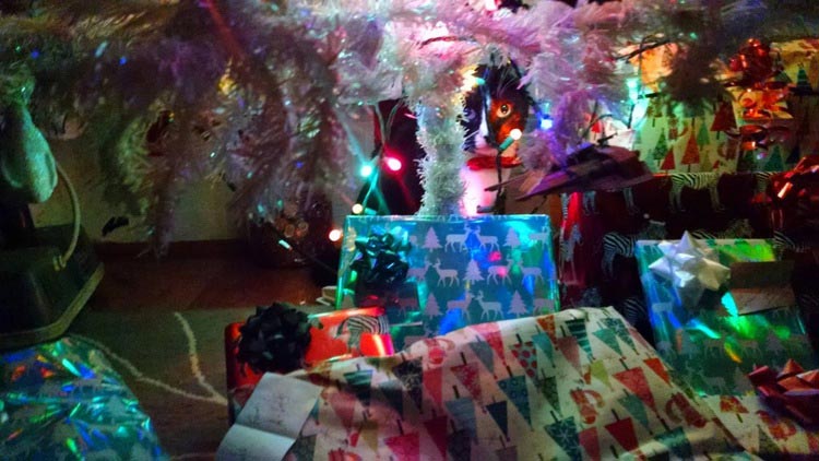 кошки ненавидят рождество, кошки ненавидят Новый год