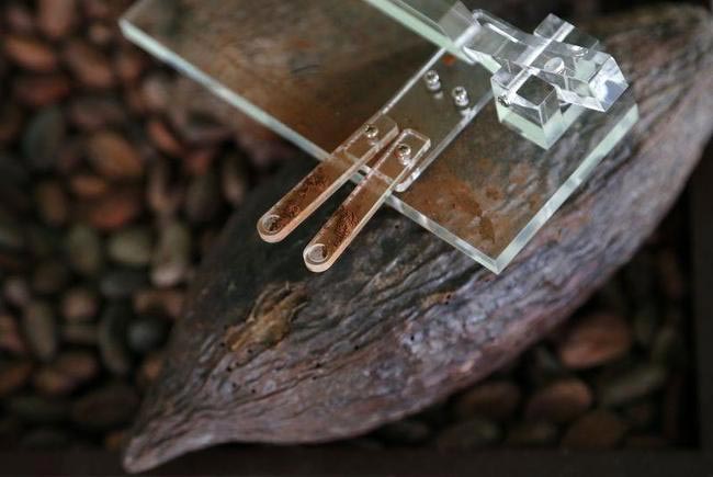 В нос мне какао: 25000 человек заплатили за устройство, выстреливающее какао в нос Доминик Персун, Dominique Persoone, Chocolate Shooter, вдыхать какао-порошок носом, устройство выстреливающее какао в нос, какая в нос