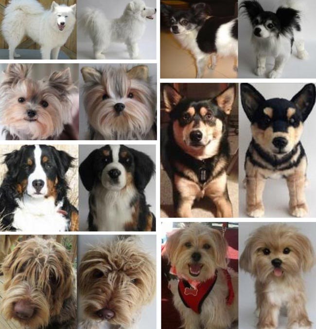 Cuddle Clones, плюшевый клон питомца, плюшевая копия домашнего животного