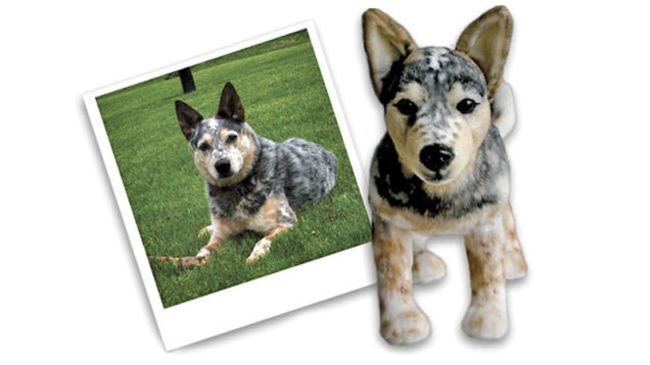 Cuddle Clones, плюшевый клон питомца, плюшевая копия домашнего животного