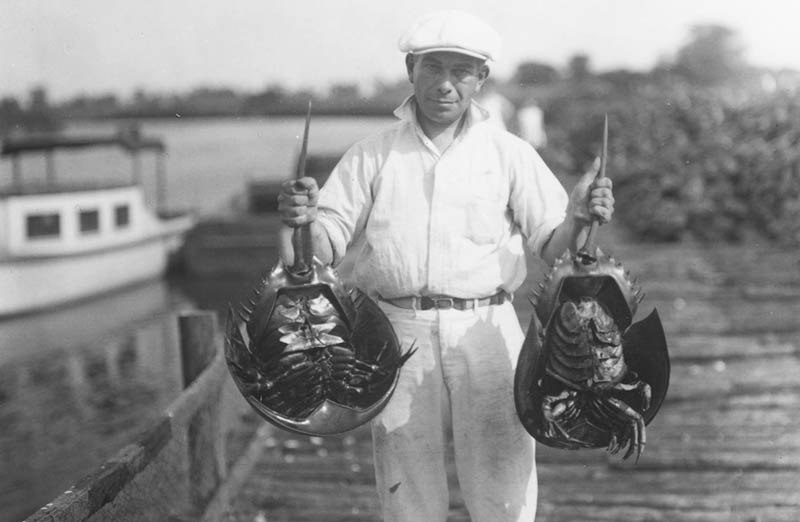 редкие кадры, исторические кадры, архивные фото знаменитостей