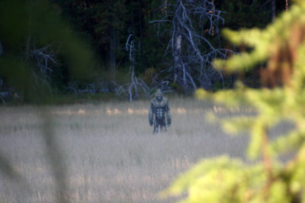 удивительные учителя, учителя которые вдохновляют