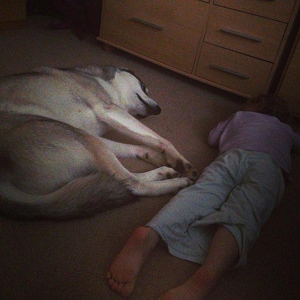 дети спят в необычных местах, дети спят в необычных позах, смешные спящие дети