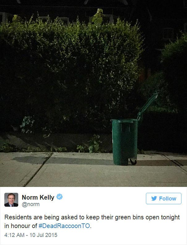 мемориал мертвому еноту, создали мемориал мертвому еноту, мемориал мертвому еноту на улице Торонто