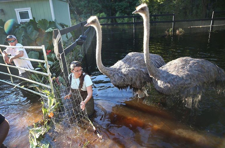 мощные фотографии, самые мощные фотографии недели, обо всём на свете