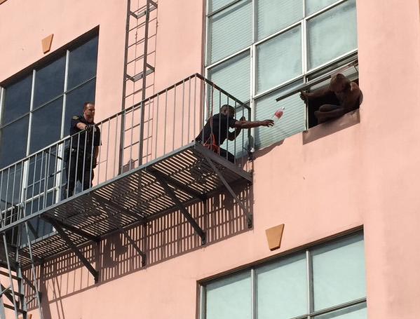 полиция кот от самоубийства, полиция отговорила мужчину от самоубийства, кот помог против самоубийства