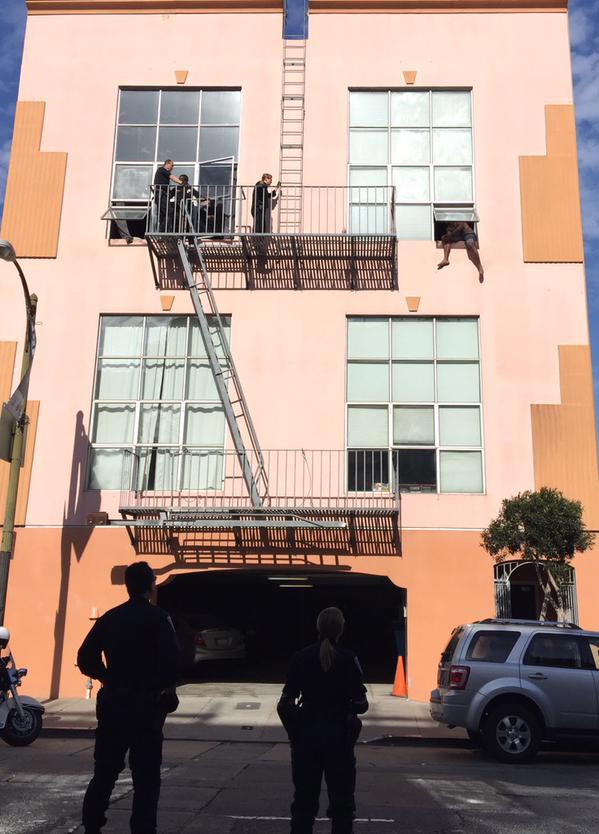 полиция кот от самоубийства, полиция отговорила мужчину от самоубийства, кот помог против самоубийства