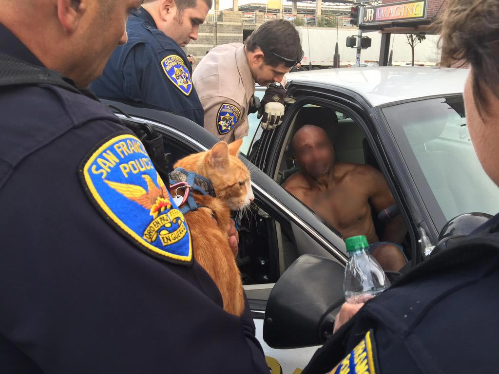 полиция кот от самоубийства, полиция отговорила мужчину от самоубийства, кот помог против самоубийства