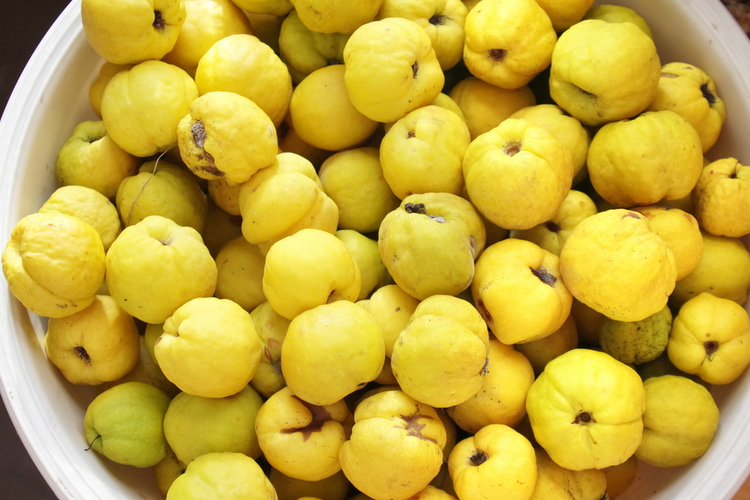 сезонные продукты, осенние овощи и фрукты