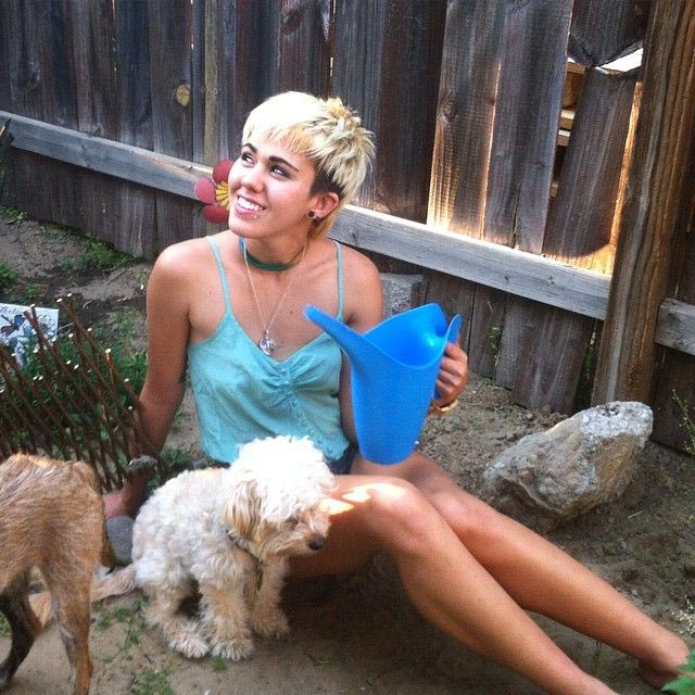 Марди Шеклфорд, Mardee Shackleford, двойник Майли Сайрус, девушка похожая на Майли Сайрус