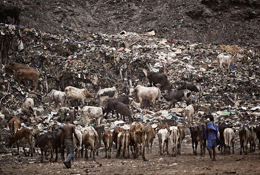 Урбанистан, Urbanistan, Матьяж Кривиц, Matjaz Krivic