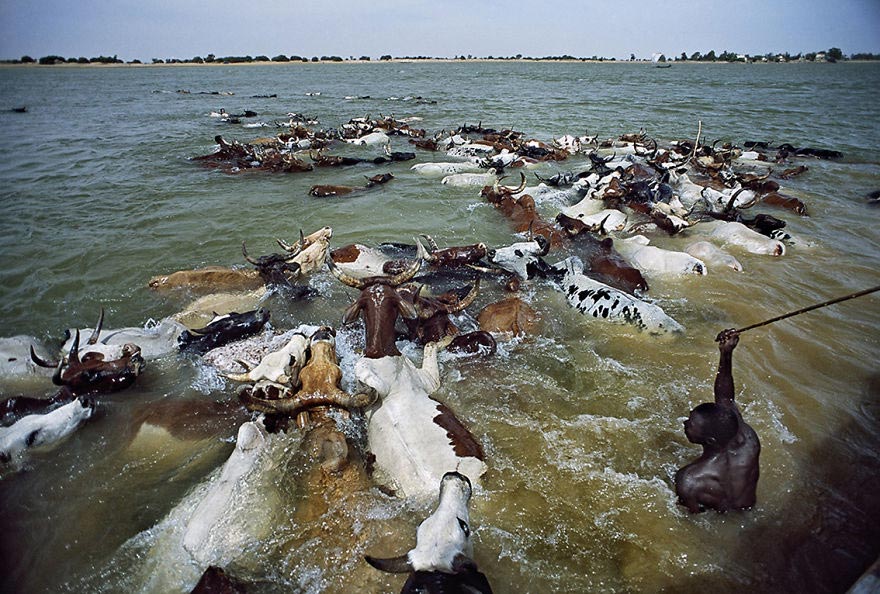 Урбанистан, Urbanistan, Матьяж Кривиц, Matjaz Krivic