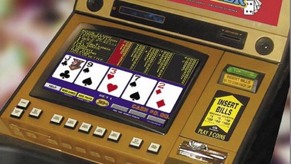 познавательные факты, а вы знали что, спорим вы не знали