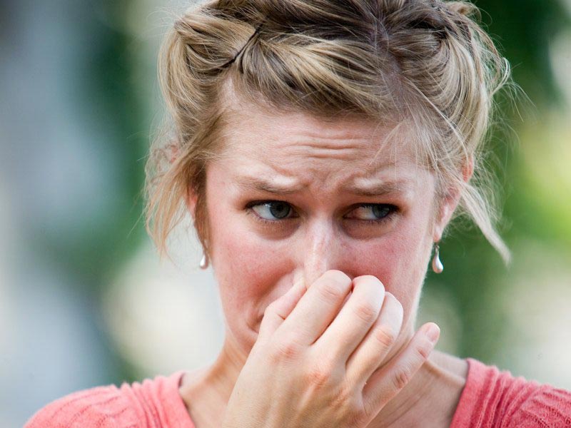 познавательные факты, а вы знали что, спорим вы не знали