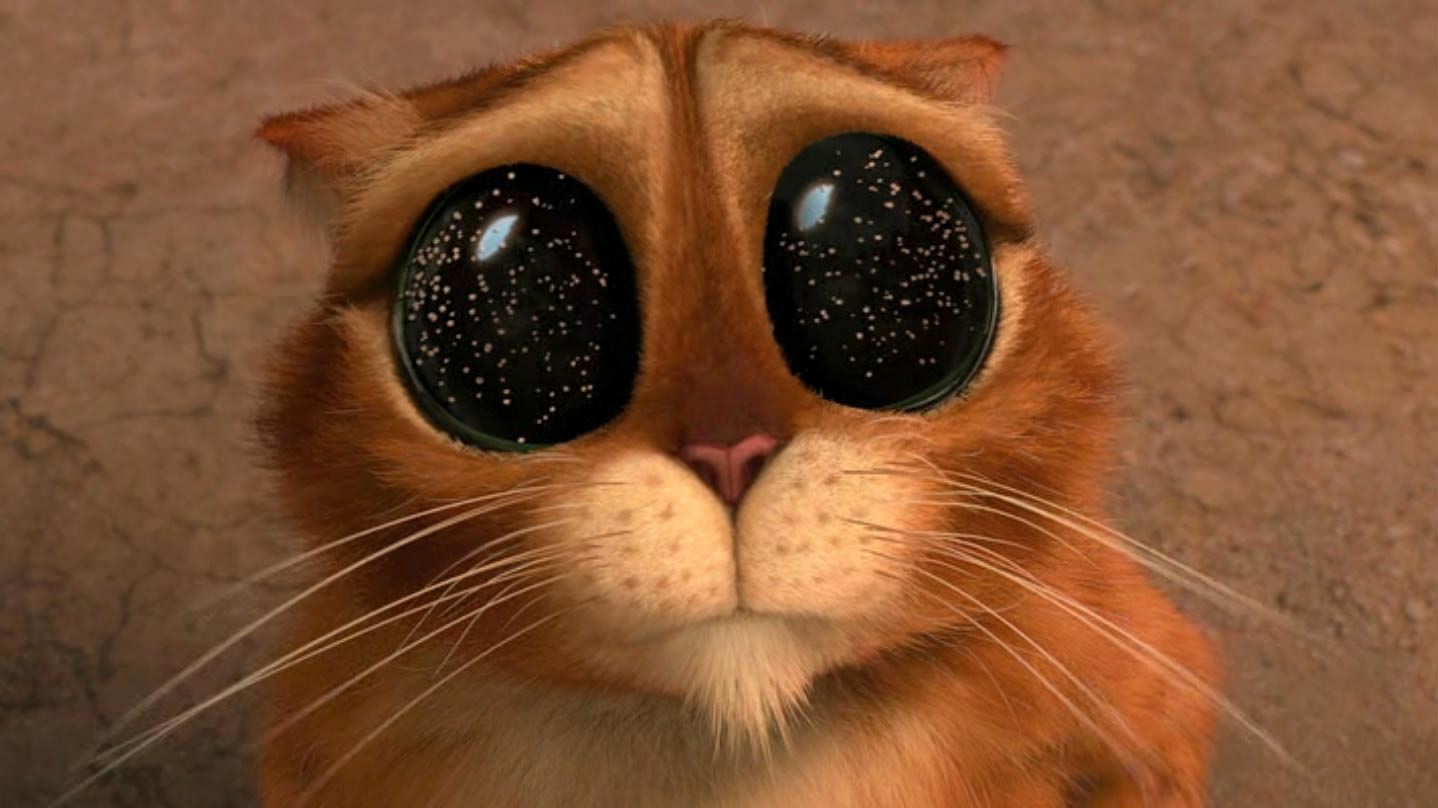 познавательные факты, а вы знали что, спорим вы не знали