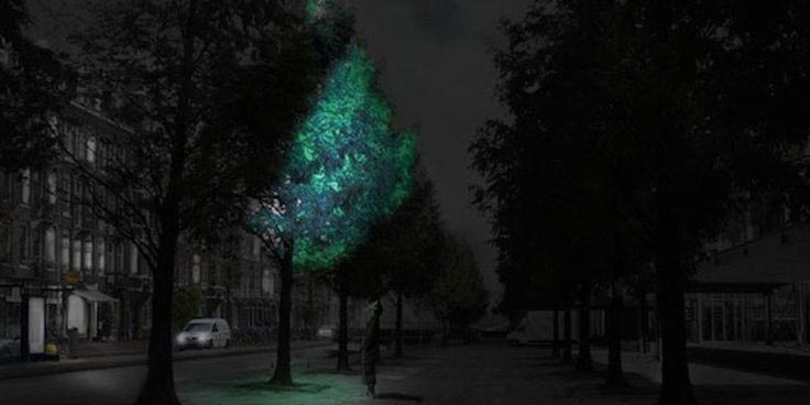 познавательные факты, а вы знали что, спорим вы не знали