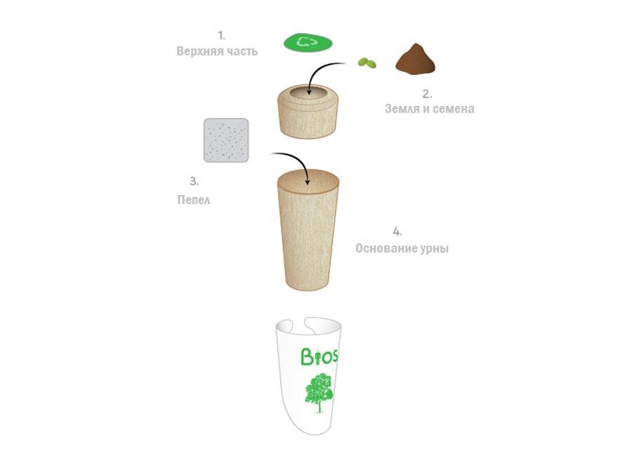 Жизнь после жизни: Bios urn, которая превратит вас в дерево после смерти Bios urn, биоурна, Biosurna, Biosurna превратит вас в дерево после смерти