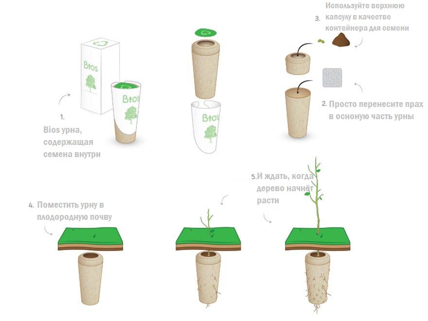 Жизнь после жизни: Bios urn, которая превратит вас в дерево после смерти Bios urn, биоурна, Biosurna, Biosurna превратит вас в дерево после смерти
