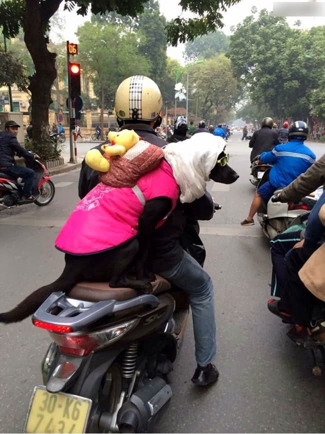 Безумные японцы, тем временем в азии, смешные японцы