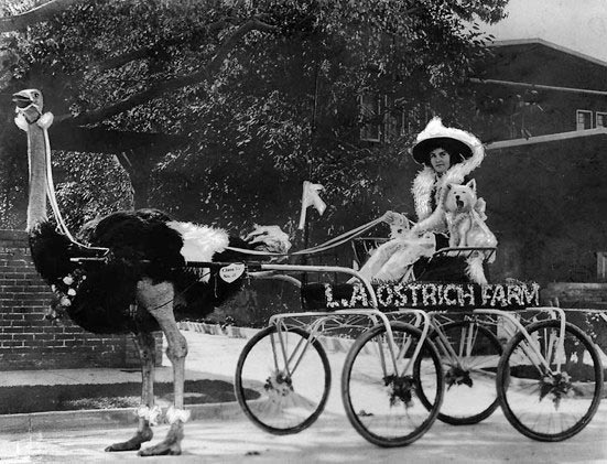 Неизвестные и поистине уникальные кадры, которые откроют вам окно в историю Исторические кадры, редкие архивные фотографии, исторические события, редкие фото звёзд