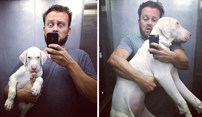 Вырос на глазах, покадровая съёмка жизни спасённого щенка, спасённая собака