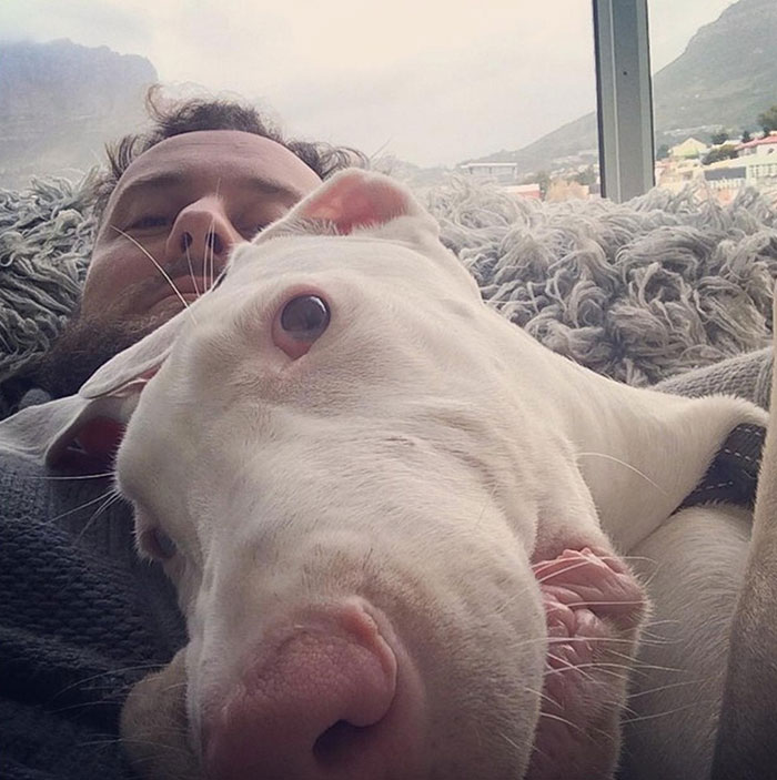 Вырос на глазах, покадровая съёмка жизни спасённого щенка, спасённая собака